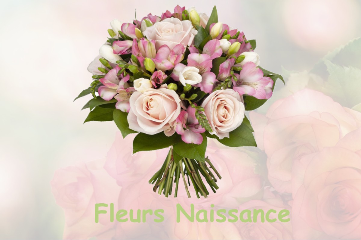fleurs naissance LA-CHAUSSEE-TIRANCOURT